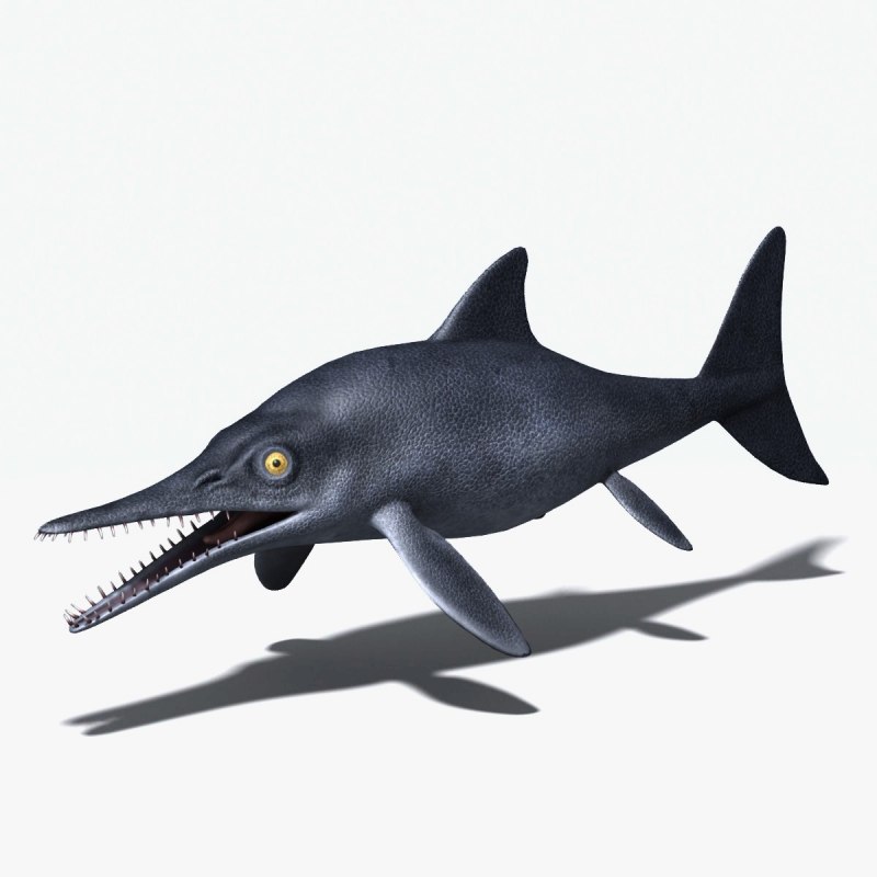 Ophthalmosaurus icenicus