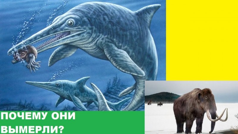 Ихтиозавр мезозой