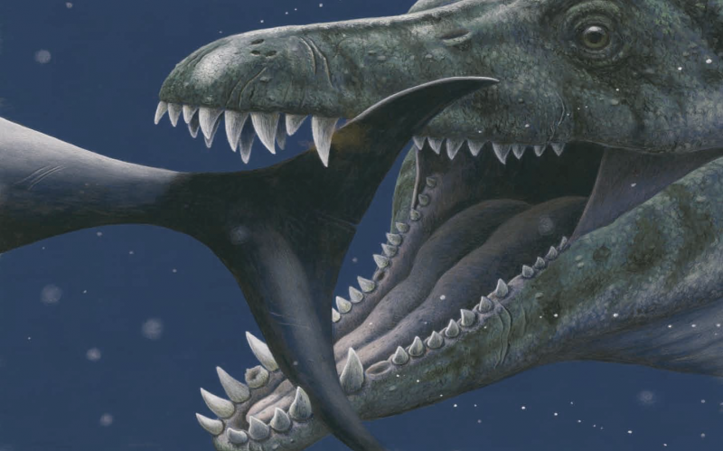 Shastasaurus sikanniensis