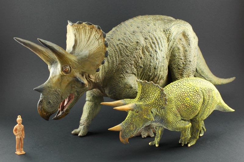 Фигурка Mojo Prehistoric & extinct Трицератопс 387227