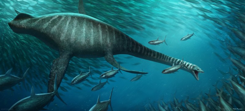 Elasmosaurus platyurus