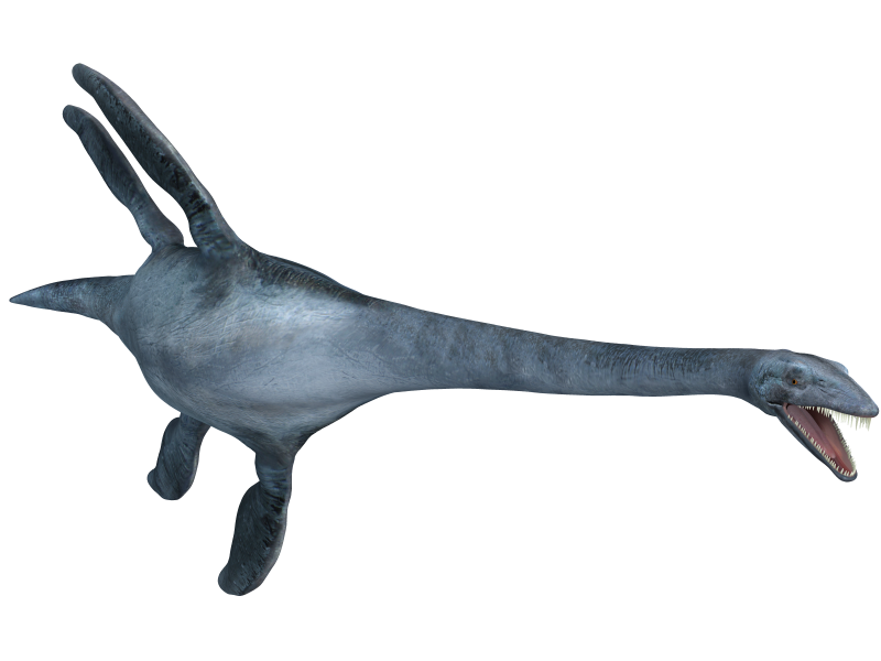 Ящеры древних морей