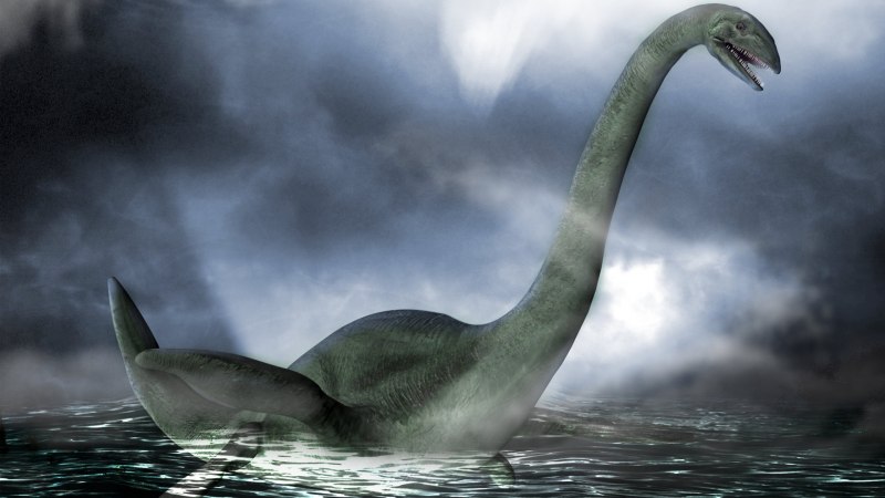 Elasmosaurus platyurus