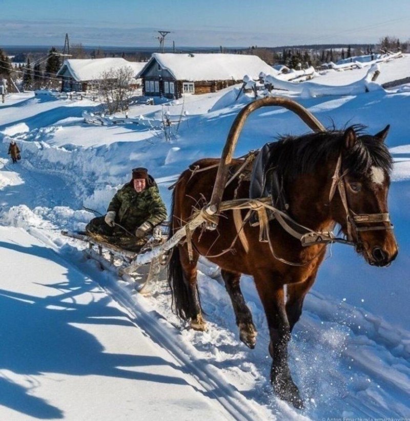 Тройка лошадей