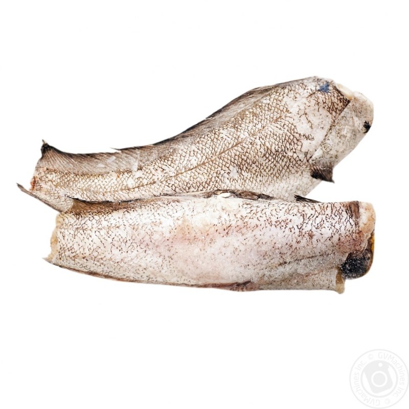 Macrourus berglax