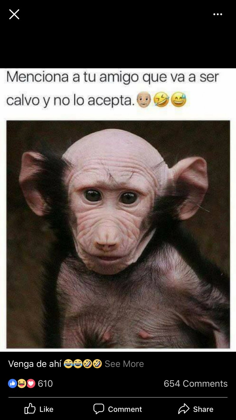 Кунац меймун