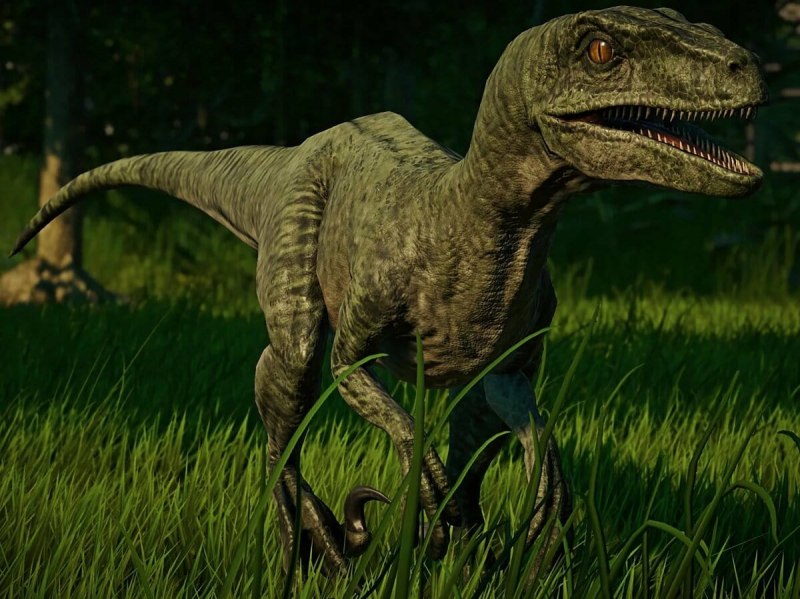 Раптор динозавр (65 фото)