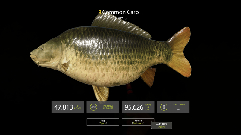 Карп (Cyprinus Carpio)
