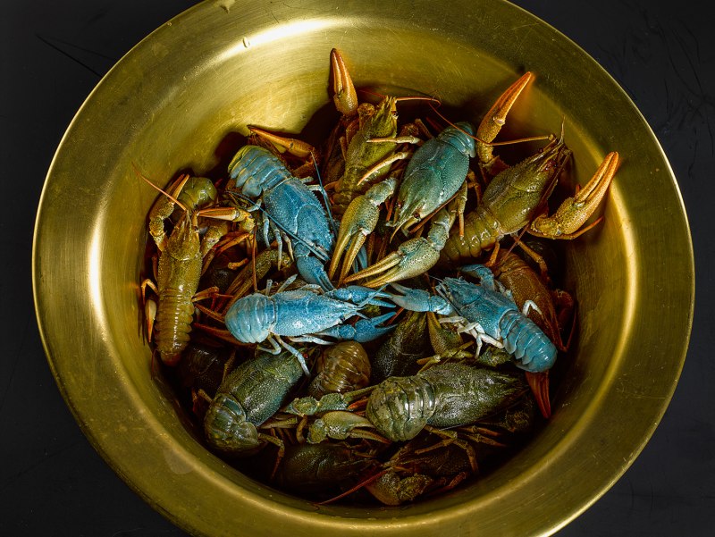 Морепродукты на льду