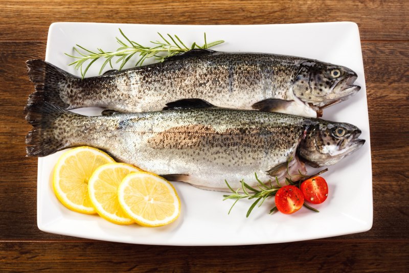Радужная форель Oncorhynchus mykiss