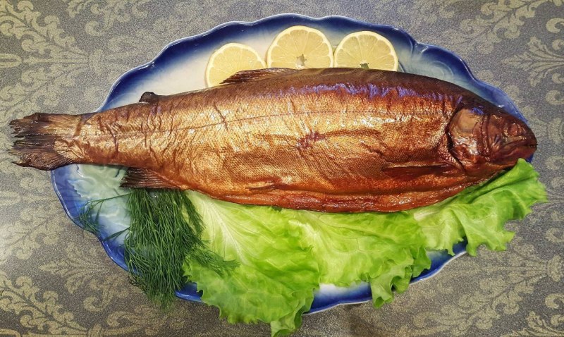 Красногорлая форель