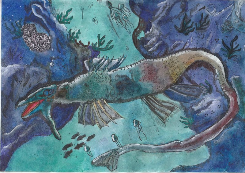 Морской СЛИЗНЯК Jorunna Parva