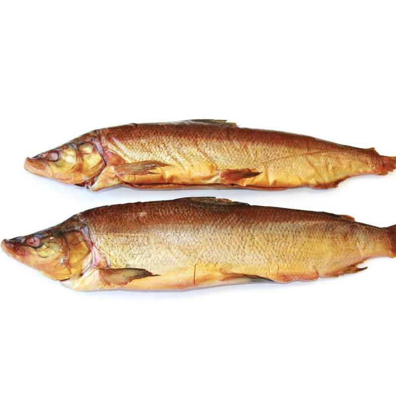 Рыба щокур(Чир)