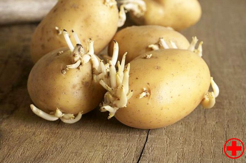 Бугорчатая парша картофеля