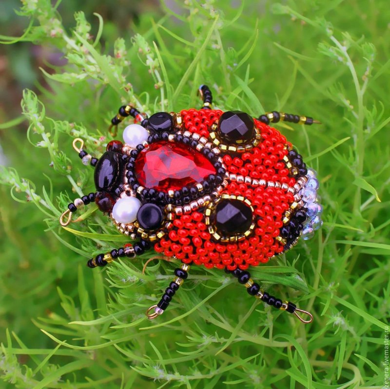 Божья коровка-Арлекин Harmonia axyridis