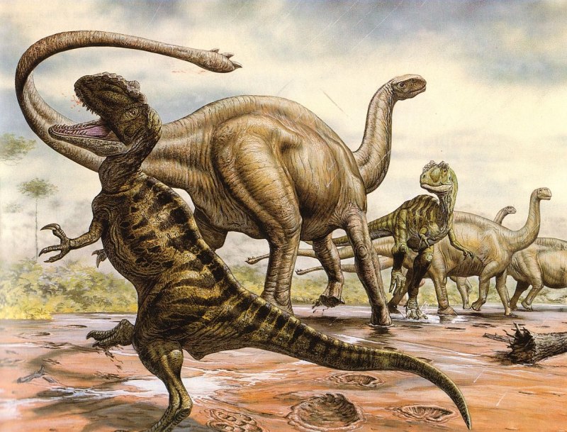 Yangchuanosaurus zigongensis