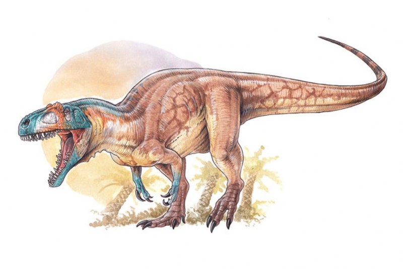 Asfaltovenator vialidadi