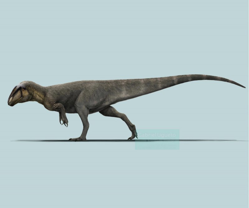 Lusovenator Santosi