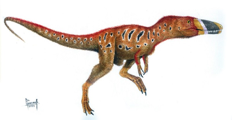 Xiongguanlong baimoensis