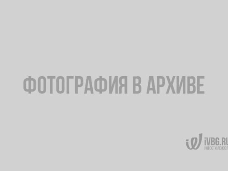 Форель 1.5 кг