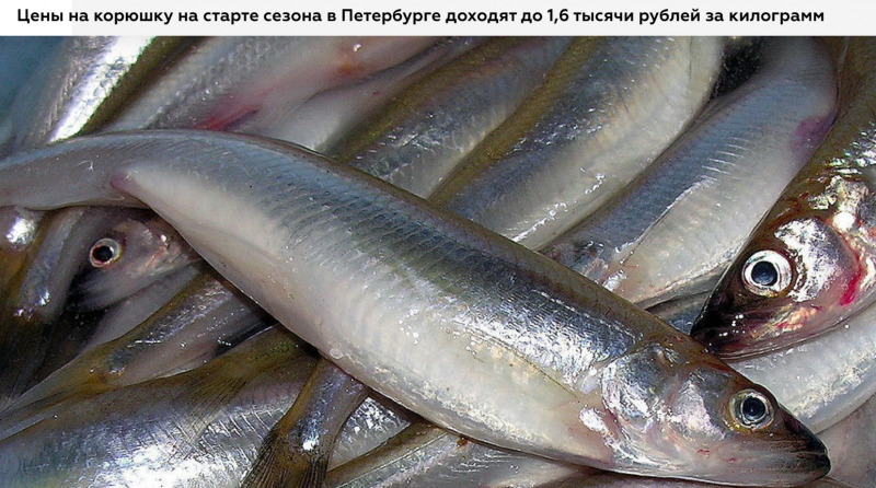 Октябрьский Усть-Большерецкого р-на Камчатского