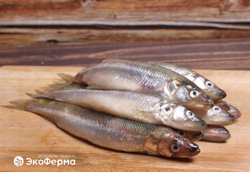 Рыбалка в де Кастри на корюшку