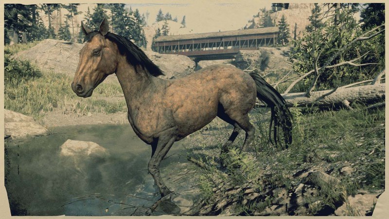 Миссури Фокс Троттер Red Dead Redemption 2