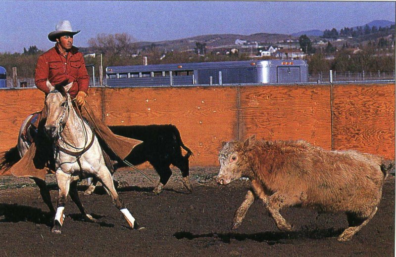 Rdr 2 Ахалтекинская лошадь