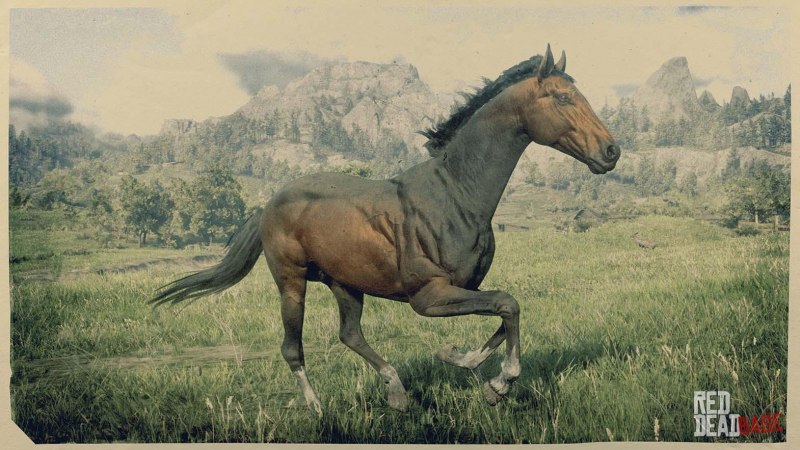 Missouri Fox Trotter rdr2