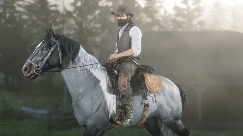 Red Dead Redemption 2 лошади