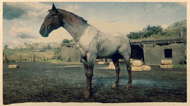 Missouri Fox Trotter rdr2