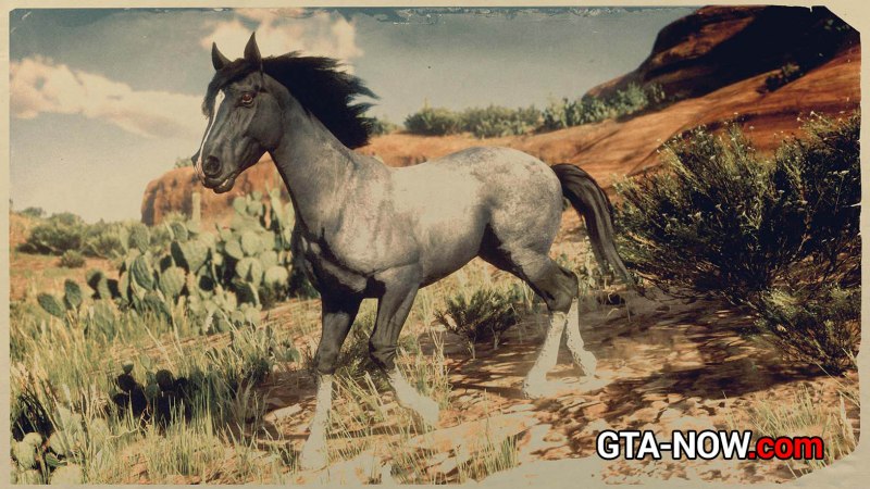 Red Dead Redemption 2 Вороная Шайр