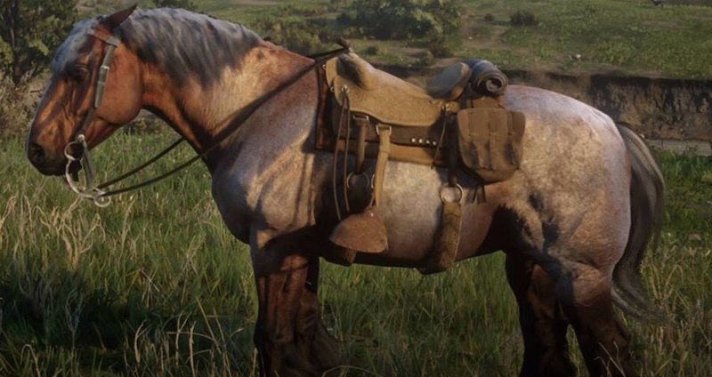 Rdr2 Норфолкский рысак