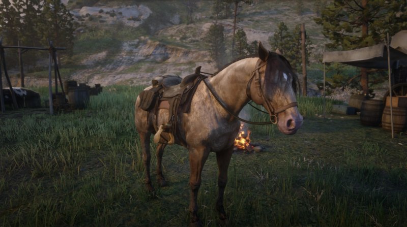 Red Dead Redemption 2 Ахалтекинская