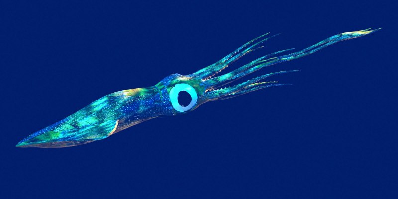 Биолюминесцентный осьминог / stauroteuthis syrtensis
