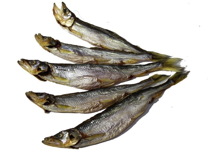 Европейская корюшка