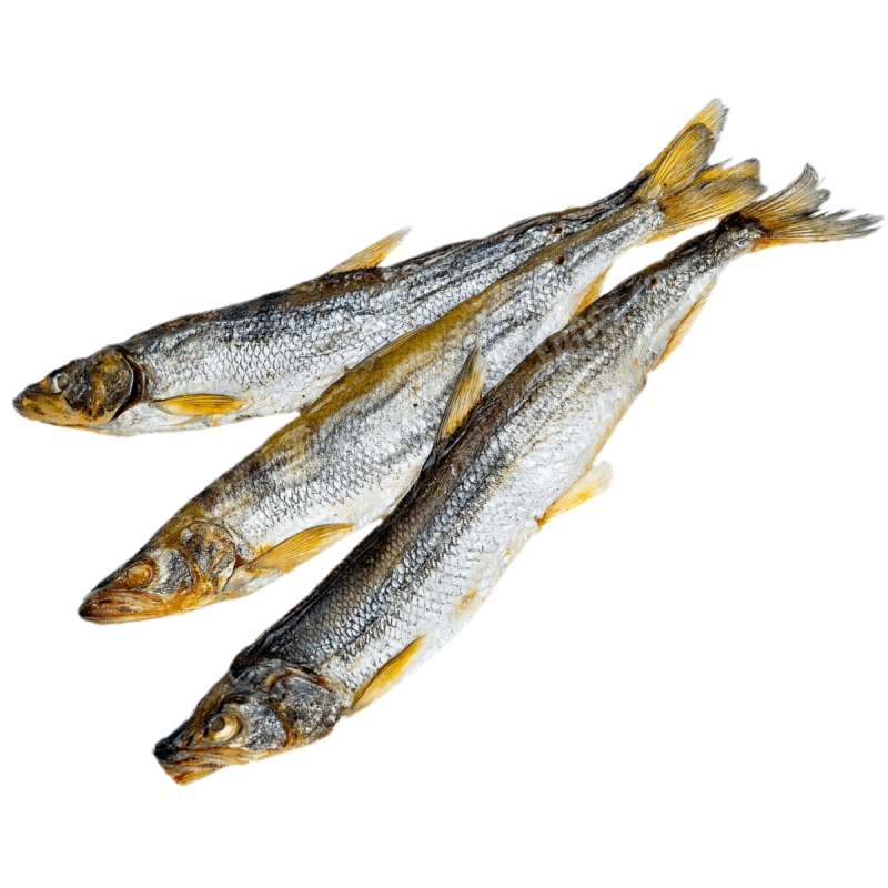 Корюшка Черноморская