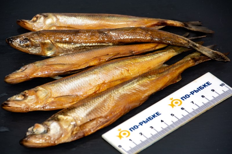 Балтийская корюшка рыба