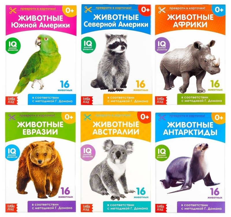 Животные Евразии карточки Домана