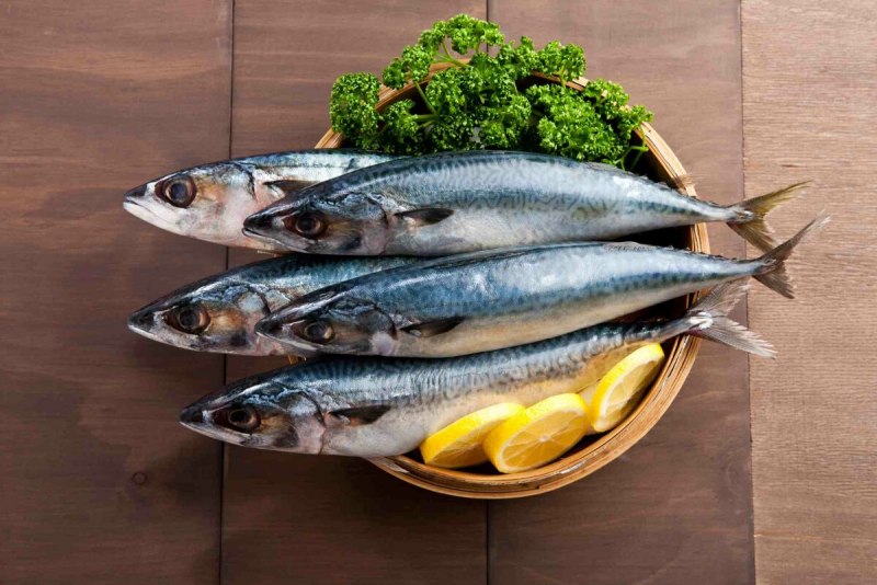 Макрель и скумбрия