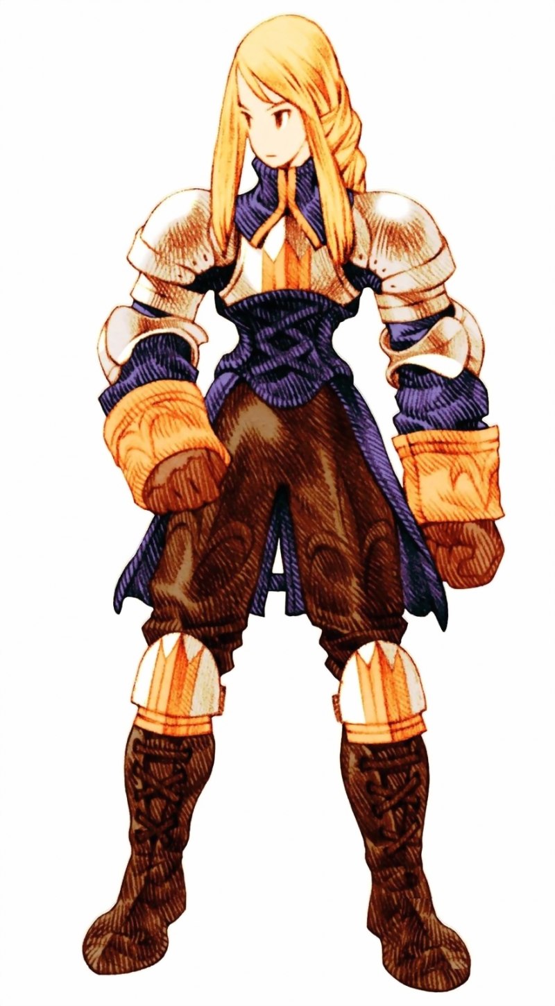 Agrias hewitsonius