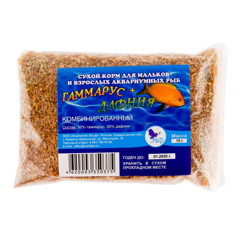 Гаммарус рачок бокоплав