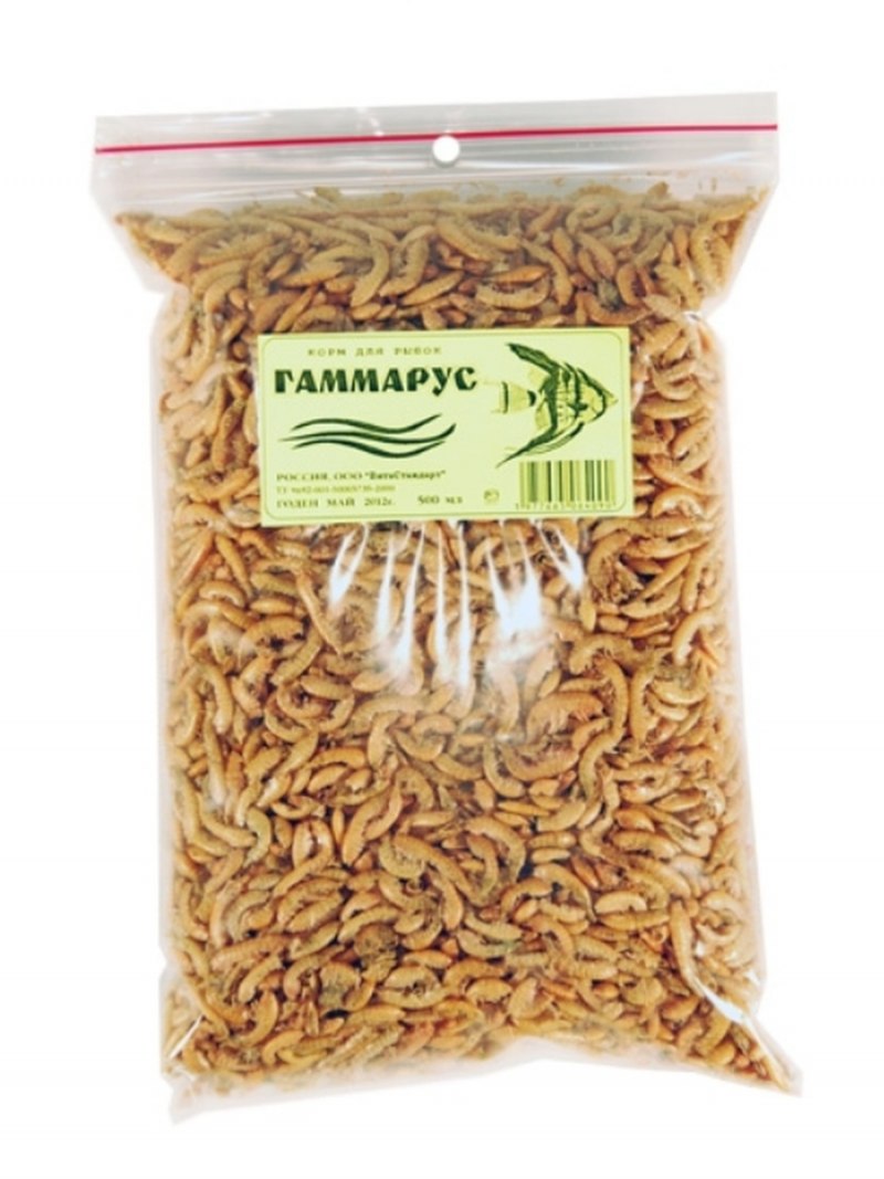 Мормыш Макросъемка