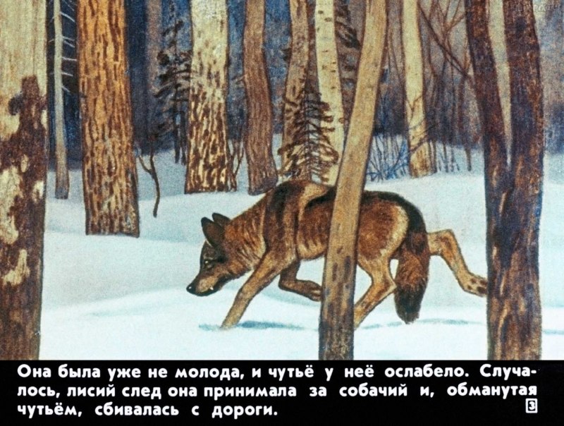 Саранча маленькая