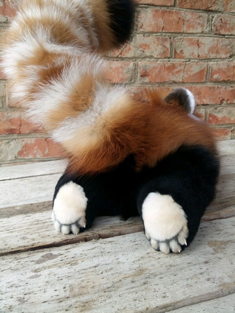 Мейли красная панда (62 фото)