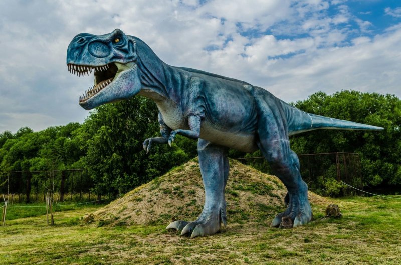 Тирекс динозавр (56 фото)