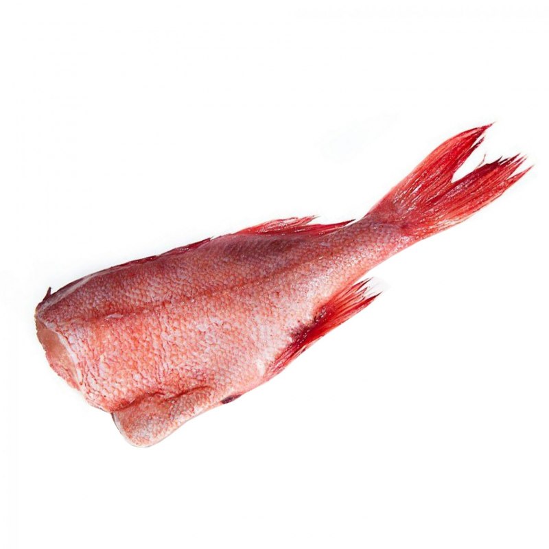 Окунь морской клювач