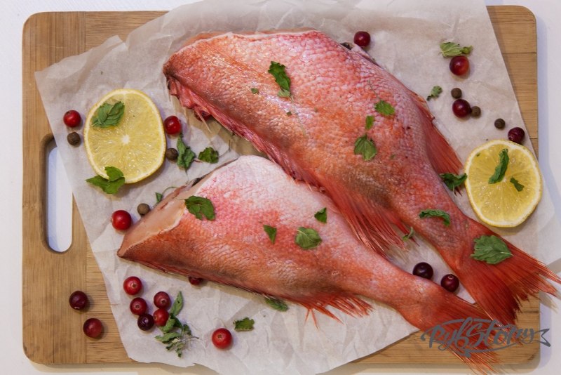 Окунь морской красный