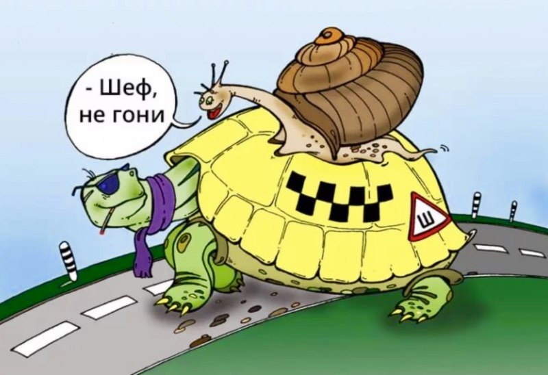 Черепаха ползет