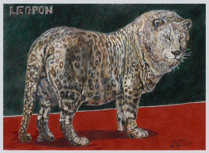 Лев и леопард картинки
